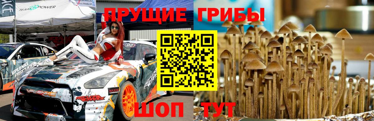 Галлюциногенные грибы Magic Shrooms  Вход с VPN  где продают наркотики  Псилоцибиновые грибы MAGIC MUSHROOMS  Жигулёвск 